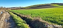 20230110_153145 - Dalla terra... il grano